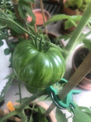 Start at Mr. Kebab in Hamburg