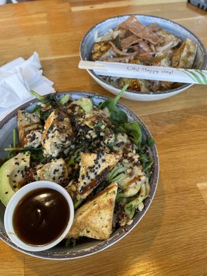 Buddha Bowl & Udon Bowl with tofu at Super Food and Brew in Jacksonville