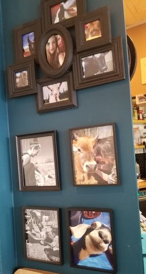 Human and non human animals  #Veganuary at Pachamama Soul in Calgary