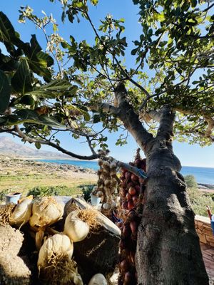 Tree in the middle of dinning area  at Golden Sunset in Crete
