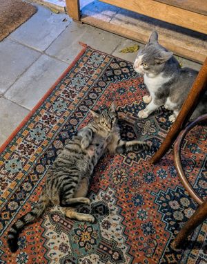  at Vacilando in Istanbul