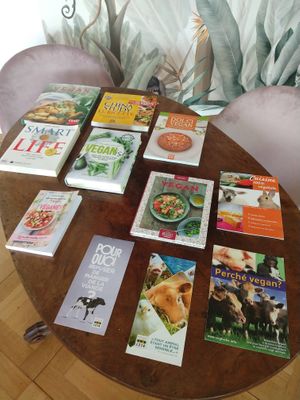  at Garden Hotel Primavera in Brissago