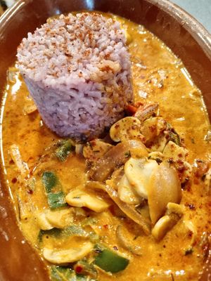 Vegan mushroom paprikash, it's in coconut milk at Paprika in Valencia