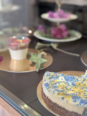  at Sweet Republic Hvar in Hvar