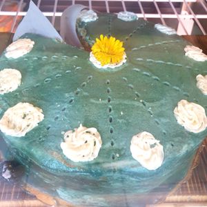  at The Grain Cafe in Van Nuys