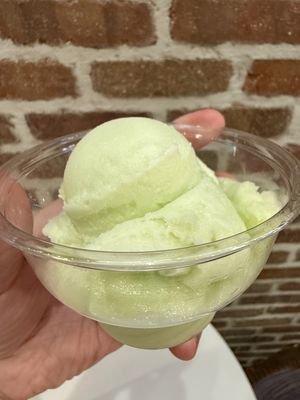 Apple Sorbet  at Southern Custard in Brookhaven
