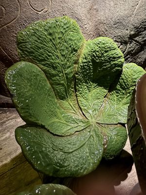 The cutest chair  at Europa Park - Jack's DELI in Rust