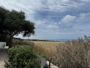   at Mamacita Café in Sarchittu