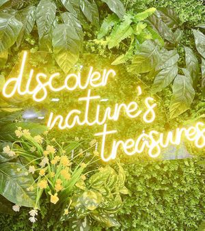 Ambience at Renew Deli in East Singapore