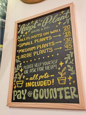 Plants at Cheese Louise in Portland