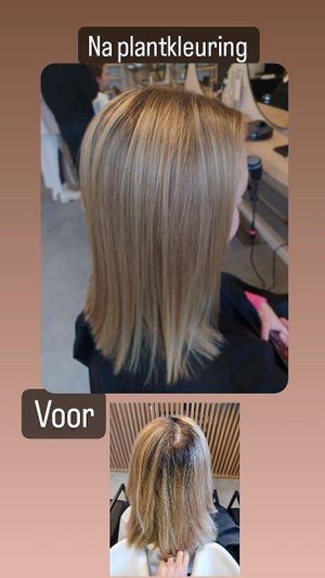 Enig in de streek die met plantkleuring werken. at Kapsalon Capelli in Maldegem