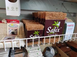 Sponges at The Filling Station in Galway