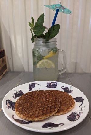 stroopwafels and Luna's Lemonade at Pebbles Kitty Cat Café in Rotterdam