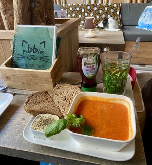 Soep met broodje hummus  at Pebbles Kitty Cat Café in Rotterdam