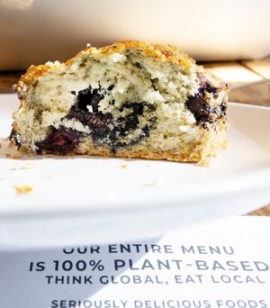 Housemade vegan blueberry scones - and also gluten-free scones, as well at Coco Bistro & Bar in Chapel Hill