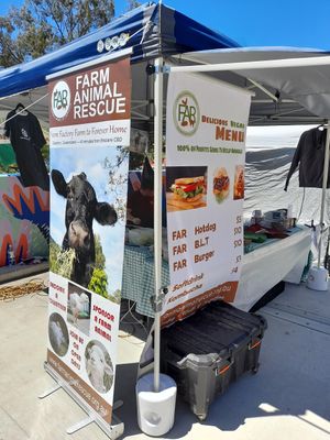 2 at North Brisbane Vegan Markets in Brisbane