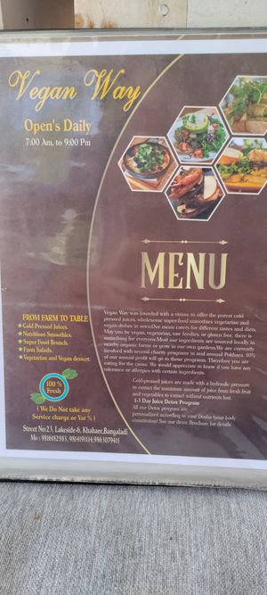 Menu pg 1 at Vegan Way in Pokhara