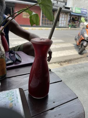   at Vegan Way in Pokhara