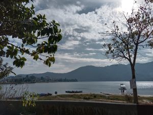  at Vegan Way in Pokhara