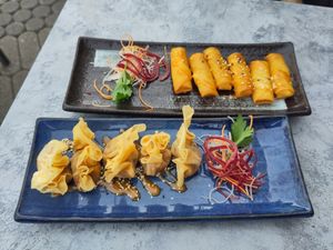 spring rolls and wan tan at My Hao in Nuremberg