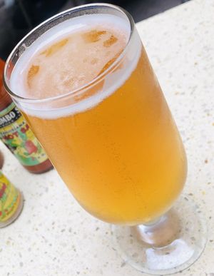 Urban South IPA at Gumbo Shop in New Orleans