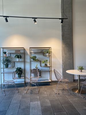 Mega Cute Indoor Seating Area  at RawASF in Fremont