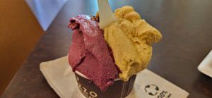 Gelato at Grezzo Raw Chocolate in Rome