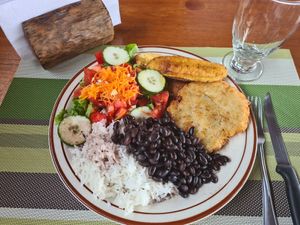 Vegan casado 3500 colones :) at Vista Verde Lodge in Monteverde