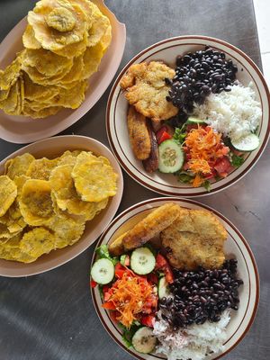 Vegan casado and Patacones at Vista Verde Lodge in Monteverde