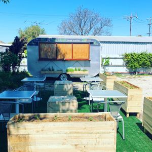 Quiet seating area, surrounded with a little food forest at Happily Ever Vegan in Corio
