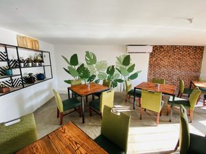 Inside view  at Verde es Vida  in Tecate