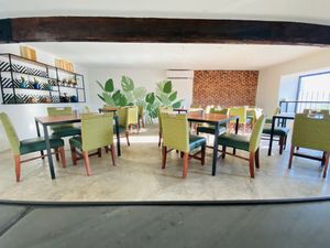 Bar view  at Verde es Vida  in Tecate