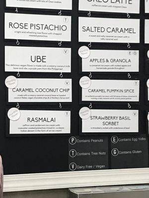 3 vegan options - Ube, Carmel coconut chip, strawberry basil sorbet at Andia's Ice Cream in Cary