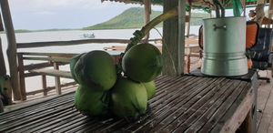 Fresh coconuts at MR.BOY CAFÉ in Koh Siboya