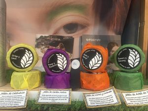 Mascarilla  at Botànix in Canals