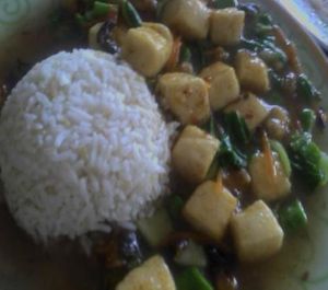 braise home made tofu rice at Vegetarian Health in Sungai Petani