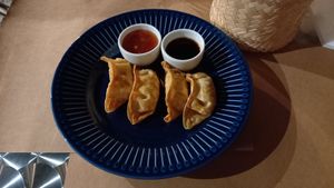 gyosas at Kantu Asian Corner in Evora