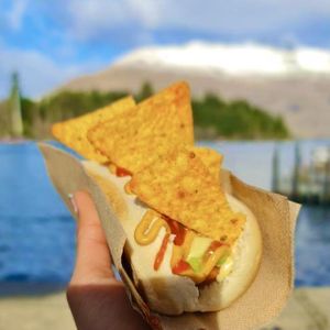 Vegetarian Mexican Style Hot Dog: Avocado, Jalapeños, Melted Cheese and Nacho Chips 🌭🇲🇽🌭🥑🌶🧀🌭🌱🌭 at Hot Dog Inc in Queenstown