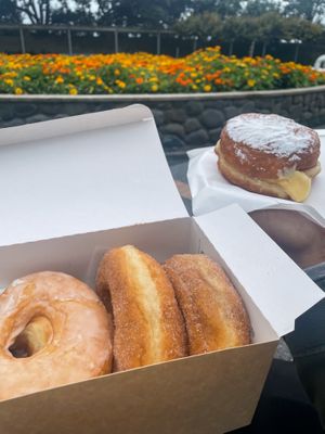 Glazed, sugar cinnamon, and custard donuts at Stuffed in Napier