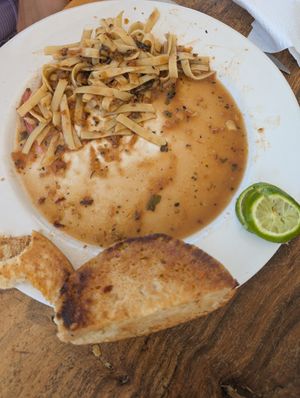 Brötchen Innenseite war nicht vegan. Obwohl ausdrücklich gesagt keine tierischen Produkte, kein Käse. at Maleconcito Gourmet in Rio Lagartos