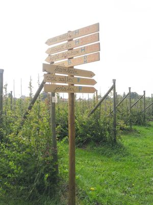 Zoek je fruit! at Pluk Je Fruit in Edegem