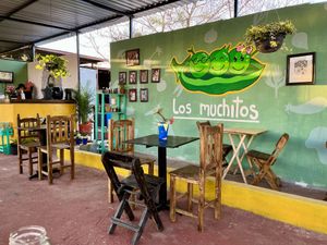 rooftop seating   at Los Muchitos Comida Vegana in Oaxaca