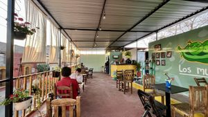rooftop seating   at Los Muchitos Comida Vegana in Oaxaca