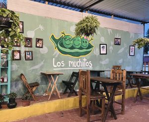 Dining area  at Los Muchitos Comida Vegana in Oaxaca