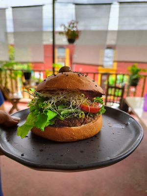  at Los Muchitos Comida Vegana in Oaxaca