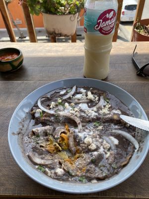Enfrijoladas  at Los Muchitos Comida Vegana in Oaxaca