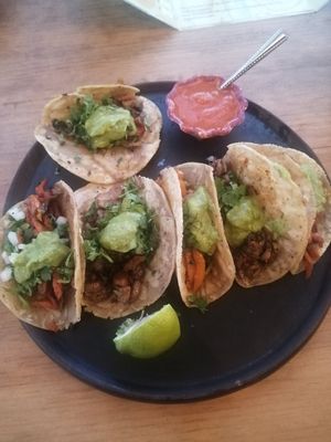  at Los Muchitos Comida Vegana in Oaxaca