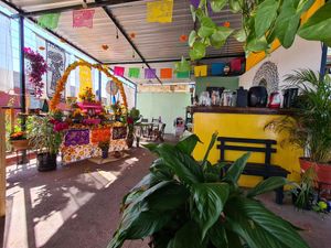 Venue at Los Muchitos Comida Vegana in Oaxaca