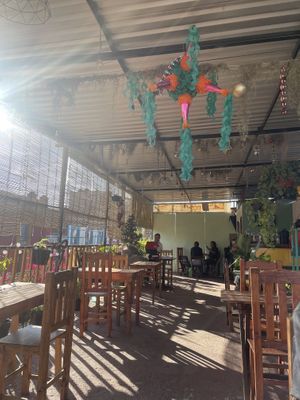   at Los Muchitos Comida Vegana in Oaxaca