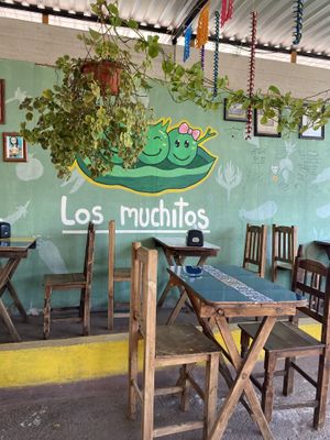  #Veganuary at Los Muchitos Comida Vegana in Oaxaca
